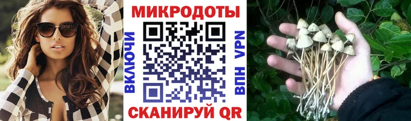 Псилоцибиновые грибы Psilocybine cubensis  купить   Азнакаево 