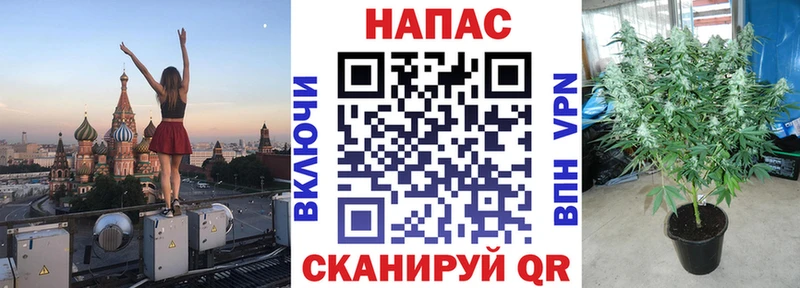 Марихуана марихуана Азнакаево